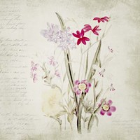 Wild Flowers Two Fine Art Print