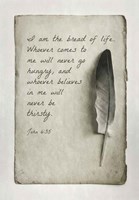John 6:35 I am the Bread of Life (Gray) Fine Art Print