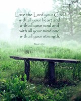 Mark 12:30 Love the Lord Your God (Bench) Fine Art Print