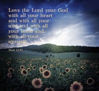 Mark 12:30 Love the Lord Your God (Sunflowers) Fine Art Print