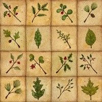 Twigs Fine Art Print