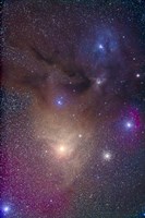 The colorful region around Antares in Scorpius and blue Rho Ophiuchi in Ophiuchus Fine Art Print