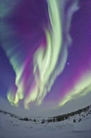 The Northern Lights in Churchill, Manitoba, Canada Fine Art Print