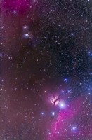 Messier 78 & Horsehead Nebula in Orion Fine Art Print