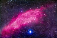 The California Nebula Fine Art Print