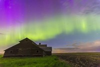 Purple Aurora over an old barn, Alberta, Canada Fine Art Print