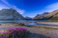 Twilight on Bow Lake, Banff National Park, Canada Fine Art Print