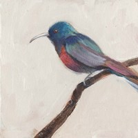 Bird Profile I Fine Art Print