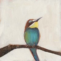 Bird Profile II Fine Art Print