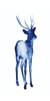 Ink Drop Rusa Deer I Framed Print