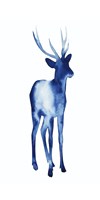 Ink Drop Rusa Deer I Fine Art Print