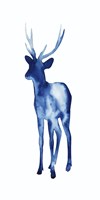 Ink Drop Rusa Deer II Fine Art Print