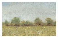 Spring Field I Framed Print