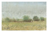 Spring Field II Framed Print