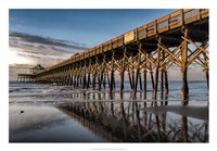 Sun Bath on Folly Beach Framed Print