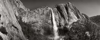 Water falling from rocks in a forest, Bridalveil Fall, Yosemite National Park, California Fine Art Print