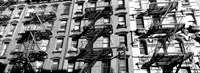 Low angle view of fire escapes on buildings, Little Italy, Manhattan, NY Fine Art Print
