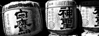 Close-up of three dedicated sake barrels, Imamiya Temple, Kita-ku, Kyoto, Japan Fine Art Print