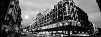 Low angle view of buildings lit up at night, Harrods, London, England BW Fine Art Print