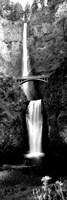 Waterfall in a forest, Multnomah Falls, Columbia River Gorge, Oregon Fine Art Print