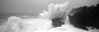 Waves breaking on the coast, Shore Acres State Park, Oregon BW Fine Art Print