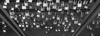 Locks of Love on a fence, Hohenzollern Bridge, Cologne, Germany Fine Art Print