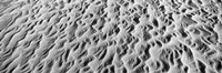 Detail of sand dunes at Anza Borrego Desert State Park, California Fine Art Print