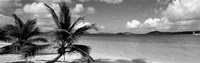 Salomon Beach US Virgin Islands Fine Art Print