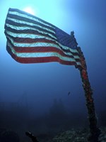 American Flag on a Sunken Ship in Key Largo, Florida Fine Art Print