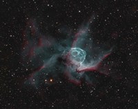 NGC 2359, Thor's Helmet Fine Art Print