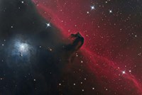 The Horsehead Nebula in the Constellation Orion Fine Art Print