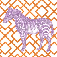 Bright Menagerie Zebra Framed Print