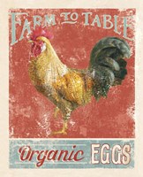 Farm Nostalgia V Framed Print