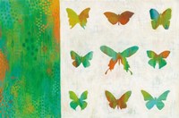 Flight Patterns II Fine Art Print