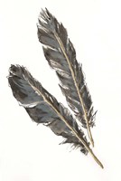 Gold Feathers III on White Fine Art Print
