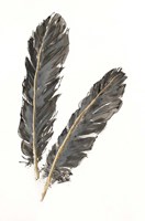 Gold Feathers IV on White Fine Art Print