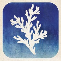 Watermark Coral Fine Art Print