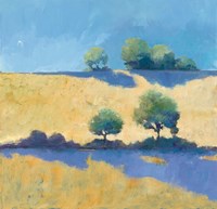 Shadows Fine Art Print