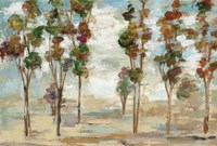 Serene Forest Fine Art Print