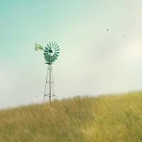 Farm Morning IV Square Fine Art Print