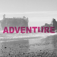 Bold Adventures V Fine Art Print