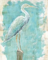 Coastal Egret I Fine Art Print