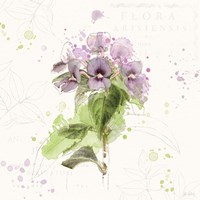 Floral Splash III Fine Art Print