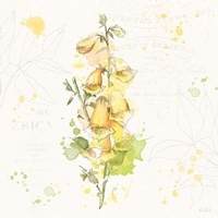 Floral Splash IV Fine Art Print