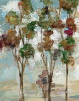 Serene Forest II Framed Print