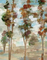 Serene Forest III Framed Print