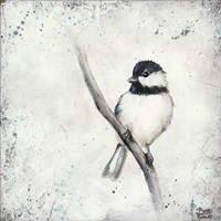 Chickadee II Fine Art Print