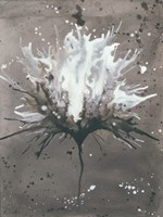 Splash of Flowers I Framed Print