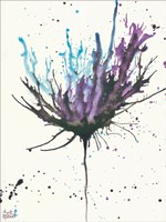 Splash of Flowers II Framed Print