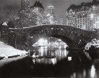 Snowfall In Central Park Framed Print